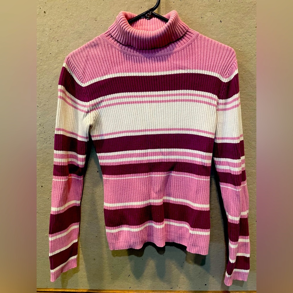 Striped turtle neck sweater